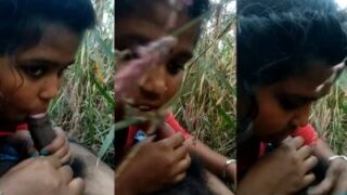 Gadis Desa Menggoyang Batang Di Tengah Sawah