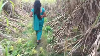 Bercinta Keras Dengan Pacar Tersayang Di Ladang Tebu