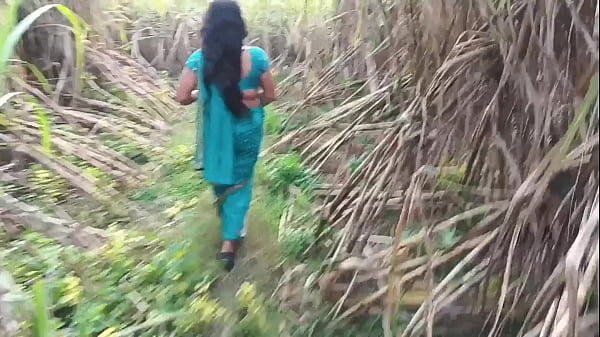 Bercinta Keras Dengan Pacar Tersayang Di Ladang Tebu
