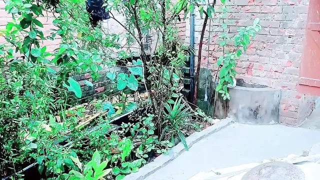 Couldn’t Resist My Stepbrother’s Cock And Ended Up Fucking Him.