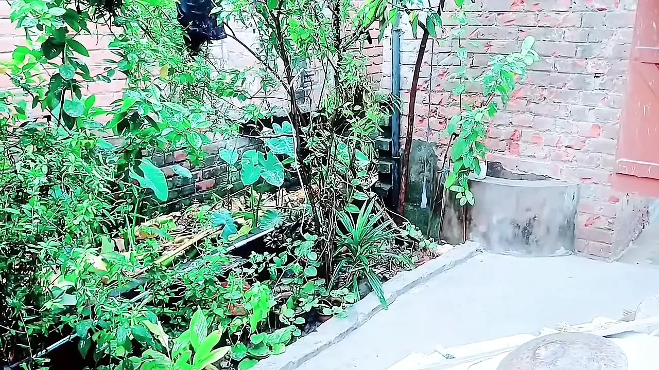 Couldn’t Resist My Stepbrother’s Cock And Ended Up Fucking Him.
