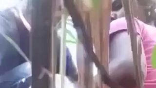 Mesra Di Kebun Tebu, Pasangan Desa Ngeres