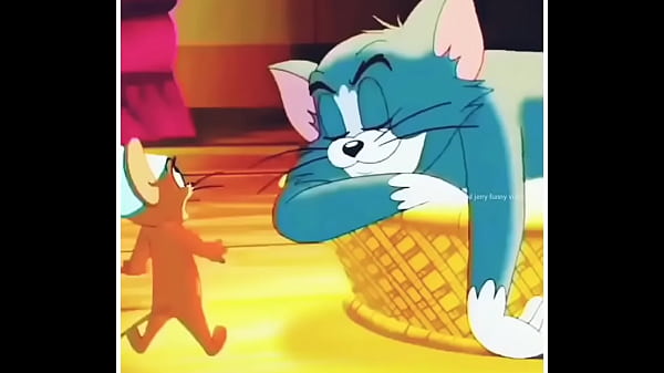 Tom Dan Jerry Saling Crot Di Ranjang, Main Kejar-kejaran Sambil Telanjang.